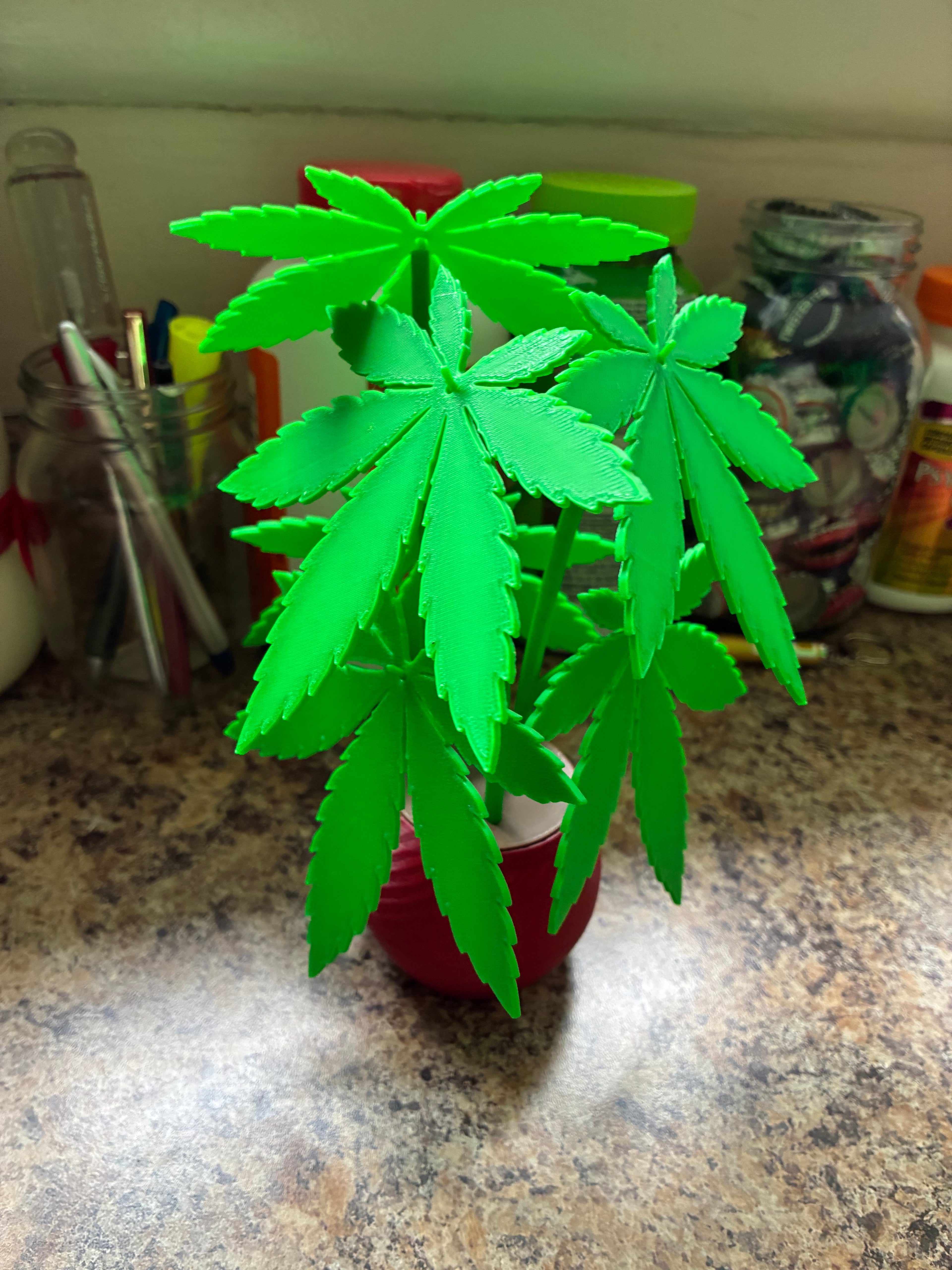 Weed Plant Leaf Coasters