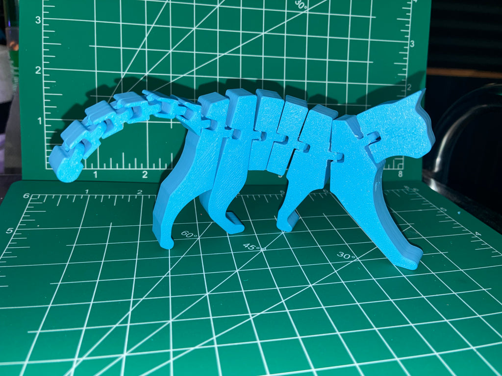 Flexi-Cat Fidget