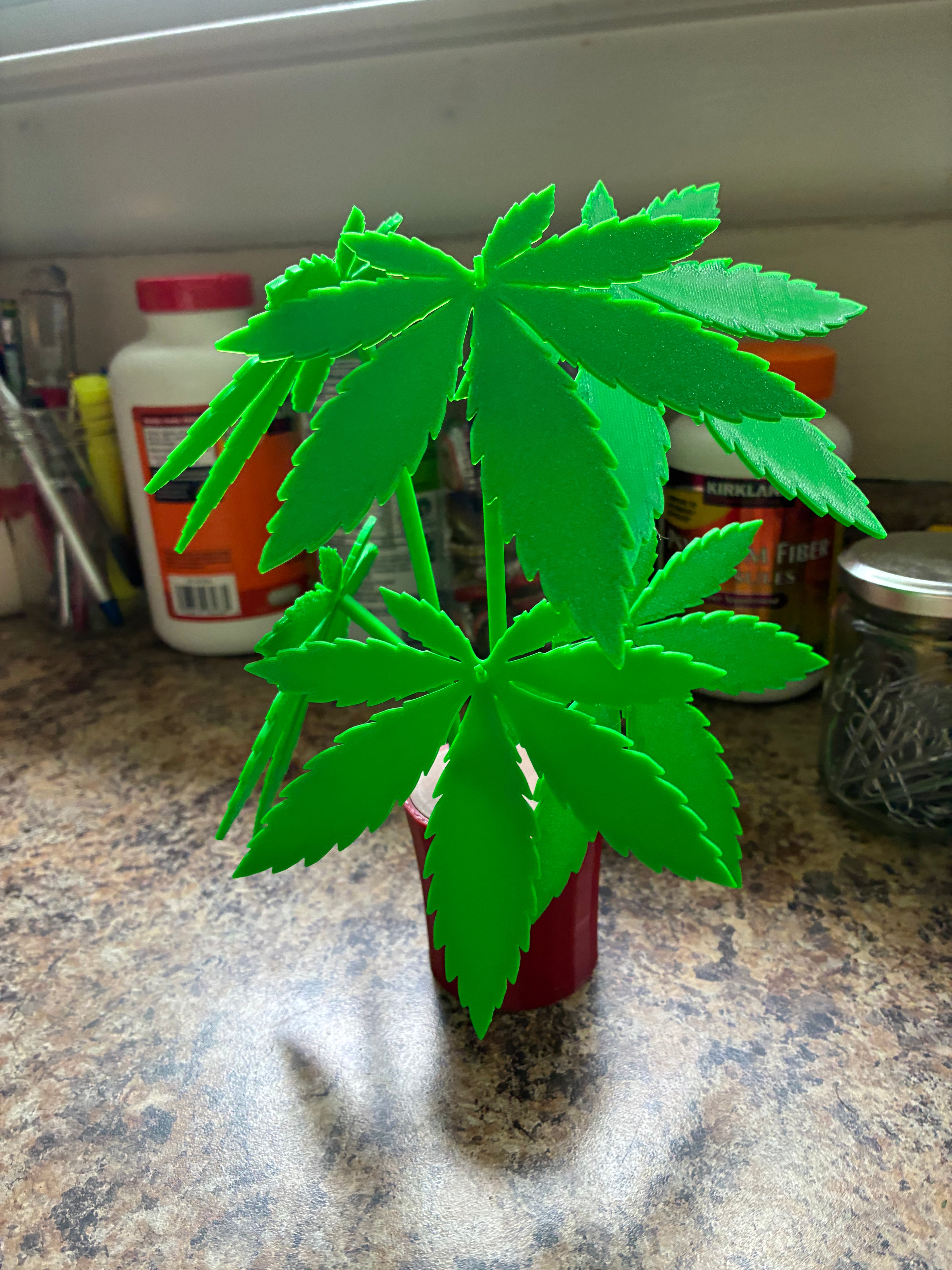 Weed Plant Leaf Coasters