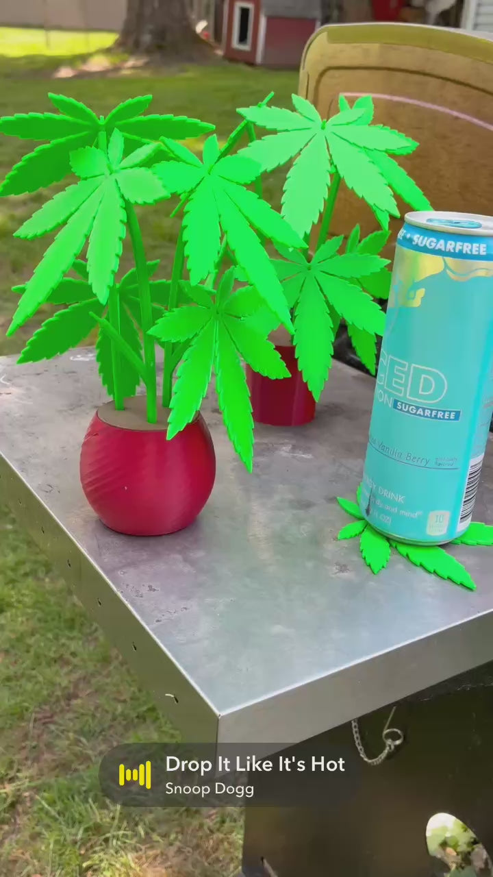 Weed Plant Leaf Coasters