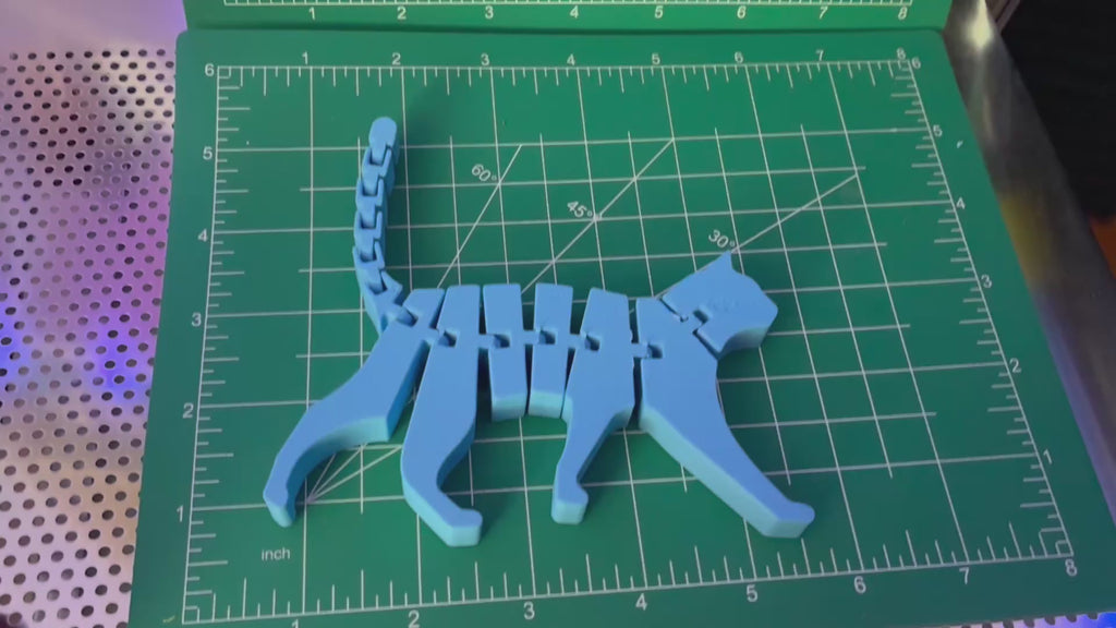 Flexi-Cat Fidget