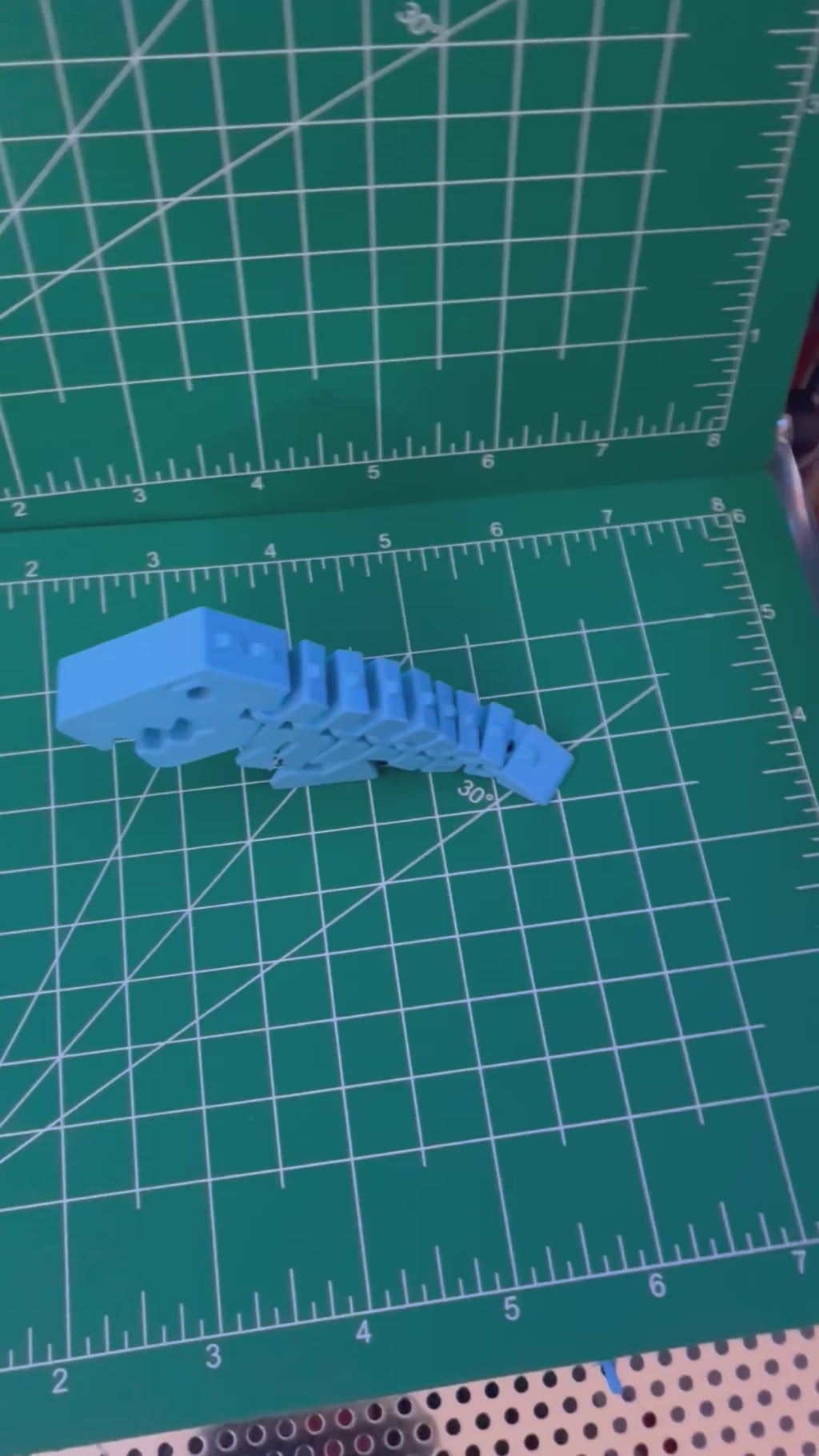 Flexi-Dino Fidget